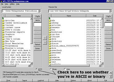 ASCII or binary: check before you upload