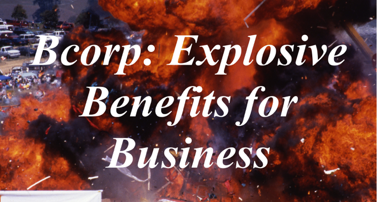 B Corp: Benefit Corporation, Doing Good in the World
